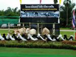 โครงการไถ่ชีวิตโค ณ เทศบาลตำบลคลองชะอุ่น จังหวัดสุราษฎร์ธานี