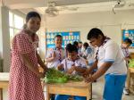 โครงงาน 2566